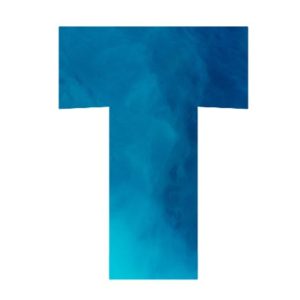 t4
